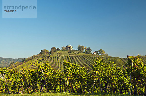 Weinberge mit Lemberger-Trauben um den Rotenberg mit Grabkapelle  bei Stuttgart  Baden-Württemberg  Deutschland  Europa  ÖffentlicherGrund