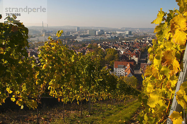 Panorama vom Rotenberg auf das Daimler Stammwerk und Mercedes-Benz-Arena  Untertürkheim  Stuttgart  Baden-Württemberg  Deutschland  Europa  ÖffentlicherGrund