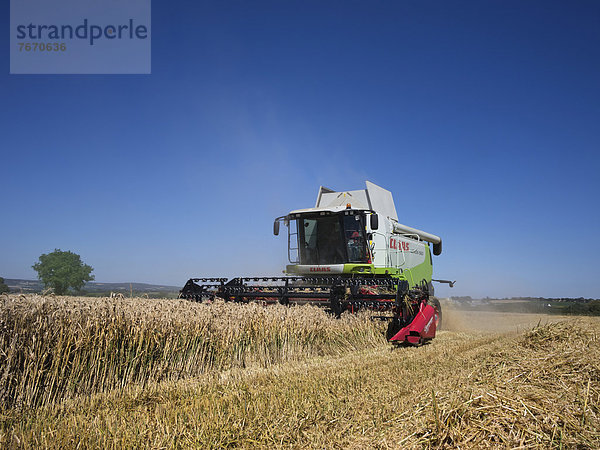 Mähdrescher bei der Getreideernte  Bretagne  Finistere  Frankreich  Europa