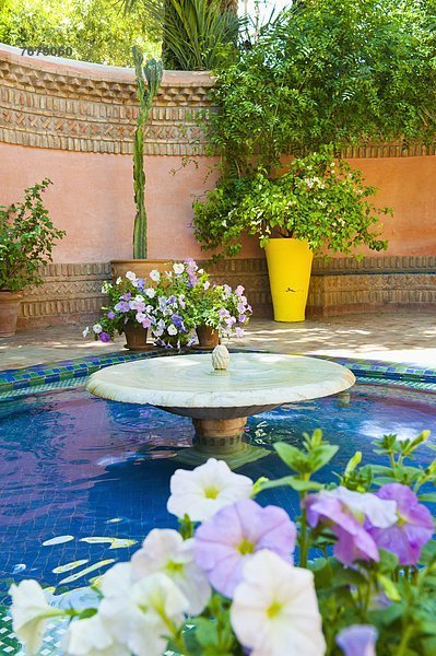 Nordafrika  Springbrunnen  Brunnen  Fontäne  Fontänen  Blume  Garten  Heiligtum  Marrakesch  Afrika  Zierbrunnen  Brunnen  Marokko