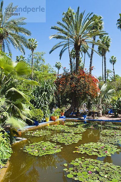 Nordafrika  Garten  Heiligtum  Marrakesch  Afrika  Marokko