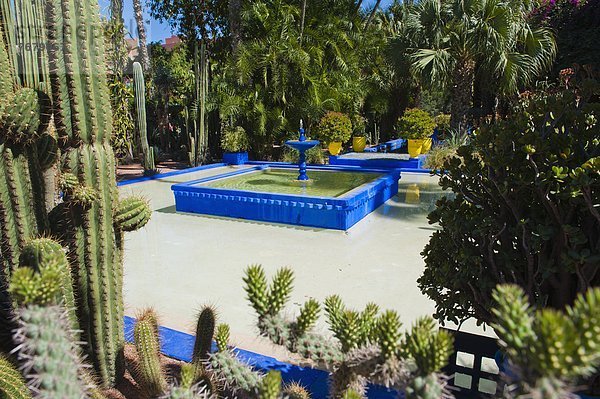 Nordafrika  Springbrunnen  Brunnen  Fontäne  Fontänen  Garten  Heiligtum  blau  Marrakesch  Afrika  Kaktus  Zierbrunnen  Brunnen  Marokko