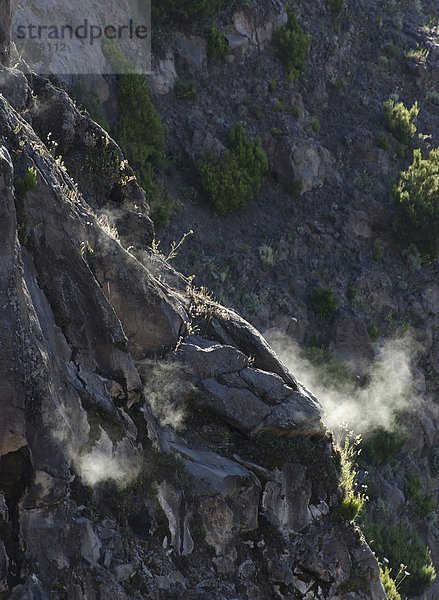 Aktion Wasserdampf Krater Kampanien Italien