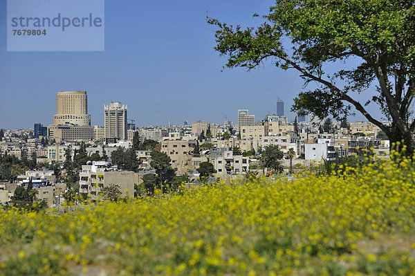 Amman  Hauptstadt  Archäologie  Zitadelle