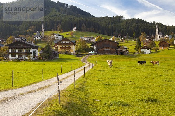 Europa  Österreich  Gosau  Salzkammergut