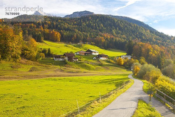Ländliches Motiv  ländliche Motive  Europa  Berg  Landschaft  Weg  Herbst  Fahrrad  Rad  Bayern  Deutschland