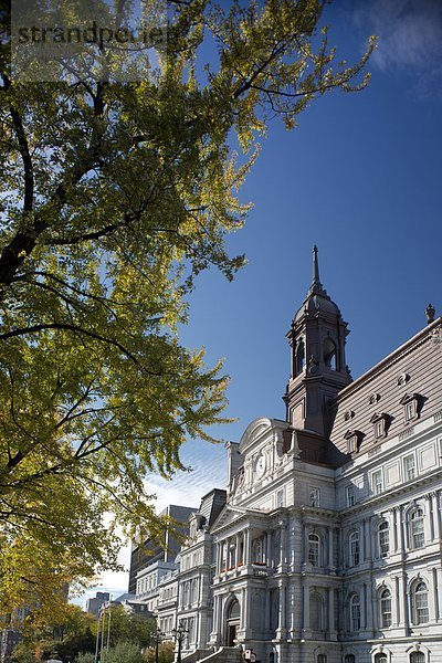 Hotel  Herbst  Nordamerika  umgeben  Kanada  Laub  Montreal