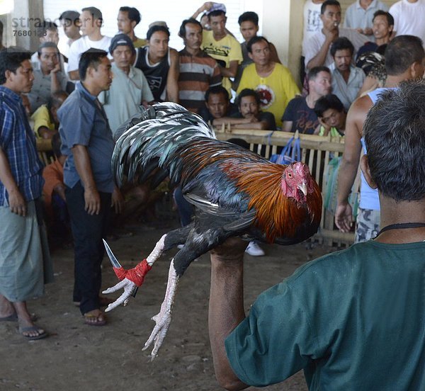 Südostasien  Asien  Indonesien