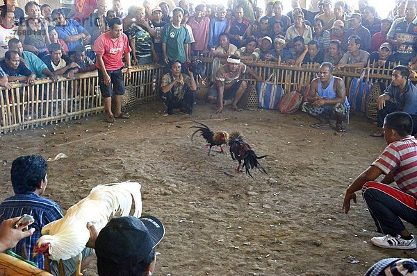 Südostasien  Asien  Indonesien