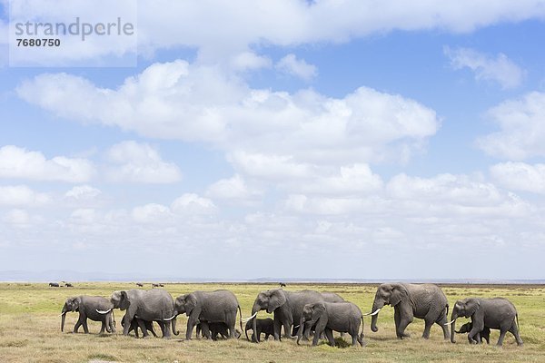 Ostafrika  Afrika  Kenia