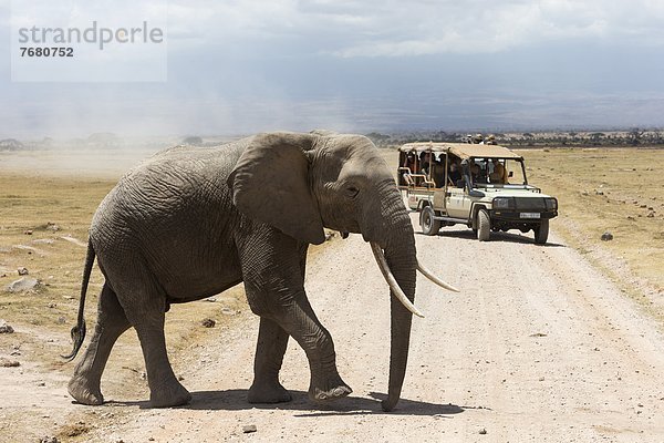 Ostafrika  Tourist  Elefant  Afrika  Kenia