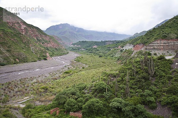 zwischen  inmitten  mitten  Landschaft  Fernverkehrsstraße  Argentinien  Salta  Südamerika