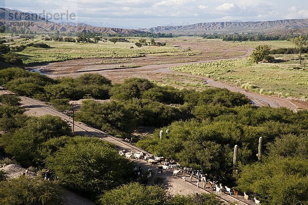 Landschaft  Humahuaca  UNESCO-Welterbe  Argentinien  Jujuy Provinz  Südamerika