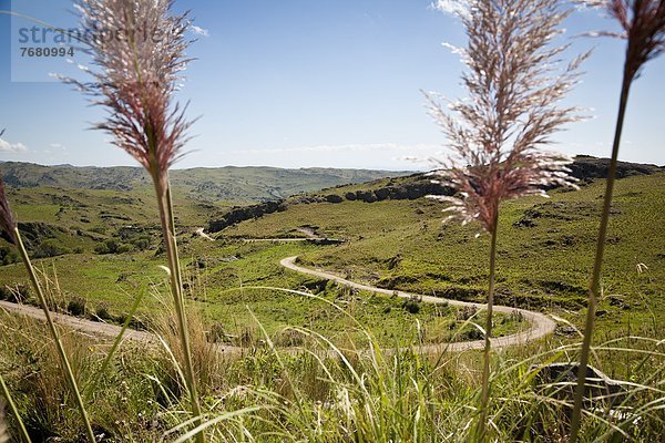 Berg  Landschaft  Argentinien  Südamerika