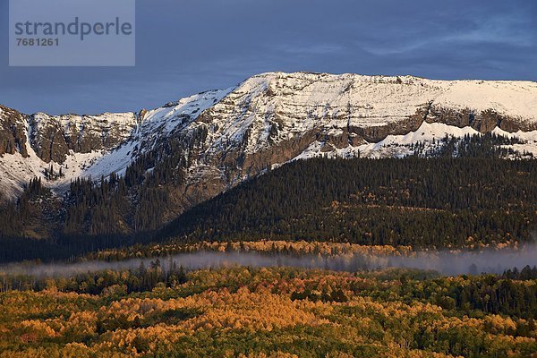 Vereinigte Staaten von Amerika  USA  Berg  bedecken  Nordamerika  Mount Sneffels  Colorado  Schnee