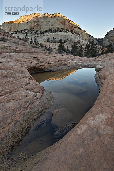 Vereinigte Staaten von Amerika  USA  Felsbrocken  Beleuchtung  Licht  Hügel  Spiegelung  Nordamerika  Zion Nationalpark  Sandstein  Utah