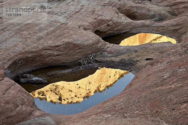 Vereinigte Staaten von Amerika  USA  zwischen  inmitten  mitten  Spiegelung  Nordamerika  Zion Nationalpark  Reflections  Sandstein  Utah