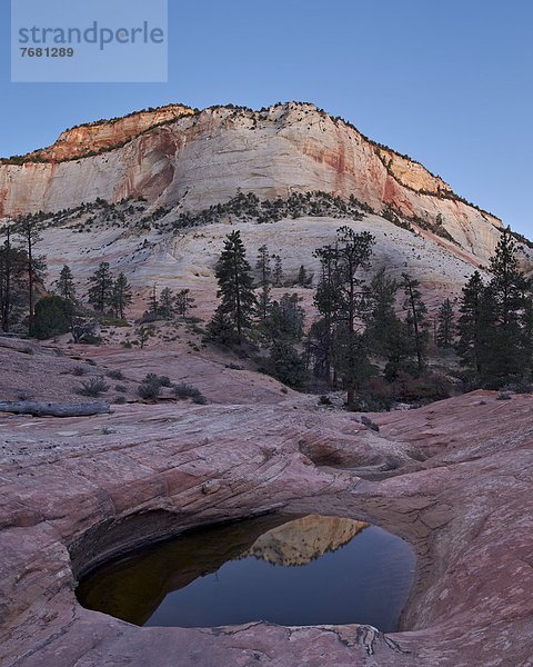 Vereinigte Staaten von Amerika  USA  Felsbrocken  Morgendämmerung  Nordamerika  Zion Nationalpark  Utah