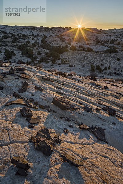 Vereinigte Staaten von Amerika  USA  über  Sonnenaufgang  Lava  Nordamerika  Stück  Navajo  Sandstein  Utah