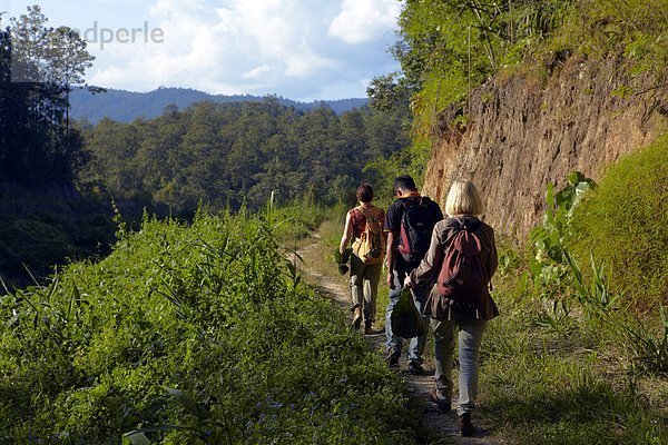 trekking in Mae Win area  Changwat Chiang Mai  Thailand                                                                                                                                                 