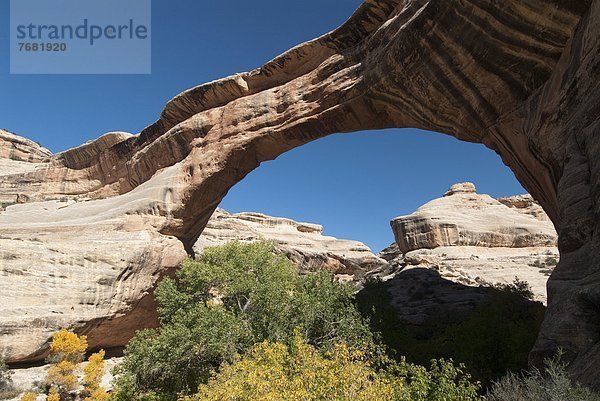 Vereinigte Staaten von Amerika  USA  Nordamerika  Natural Bridges National Monument  Utah