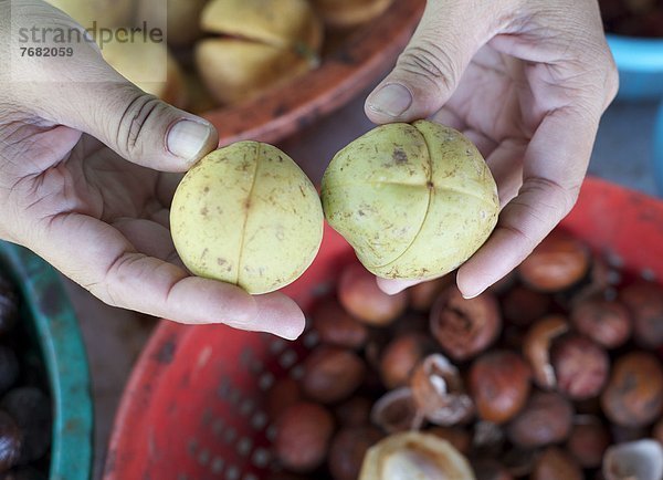 Vergleich  Frucht  Südostasien  Asien  links  Malaysia  Muskat  rechts