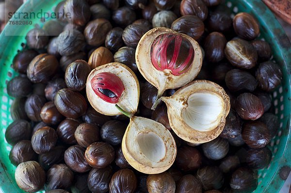 offen  Verpackung  innerhalb  Schale  Trennung  Südostasien  Asien  Muskatblüte  Malaysia  rund  umwickelt