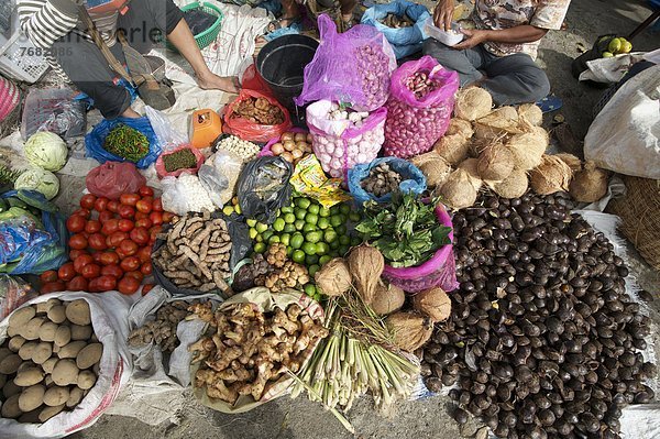 Blumenmarkt  Produktion  verkaufen  Südostasien  Volksstamm  Stamm  Asien  Indonesien  Markt  Sumatra