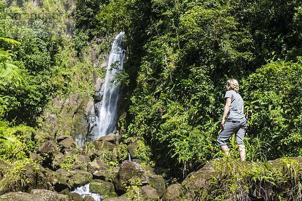 sehen  Tourist  Karibik  Westindische Inseln  Mittelamerika  UNESCO-Welterbe  Dominica  Morne Trois Pitons Nationalpark