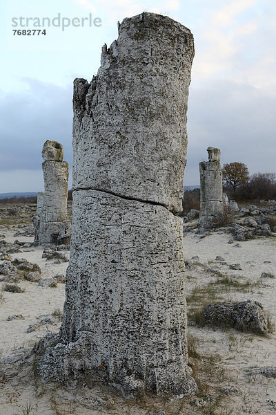 Felsbrocken  Europa  Stein  Wald  Anordnung  50  Bulgarien  Million  alt  Jahr