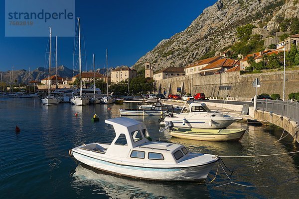 Europa  Bucht von Kotor  Kotor  Montenegro