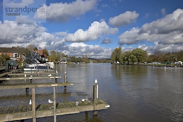 Europa Großbritannien England Henley-on-Thames Oxfordshire