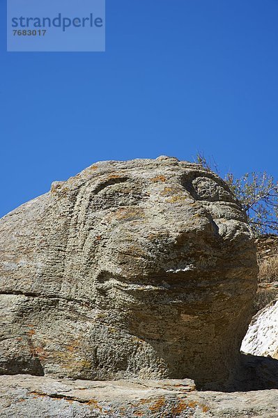 Löwe  Panthera leo  Europa  Skulptur  flirten  1  antik  Kykladen  Griechenland  Griechische Inseln