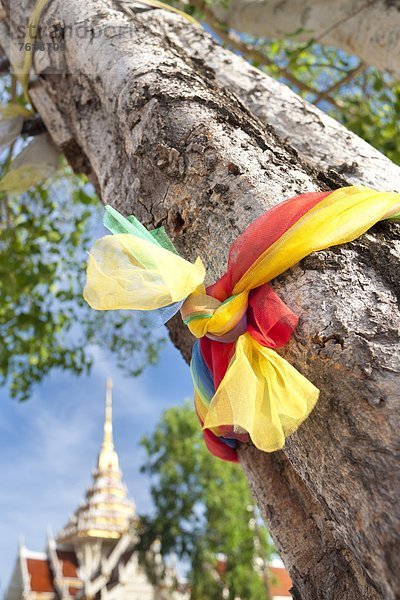 Buddhistischer Tempel  Südostasien  Asien  Phuket  Thailand