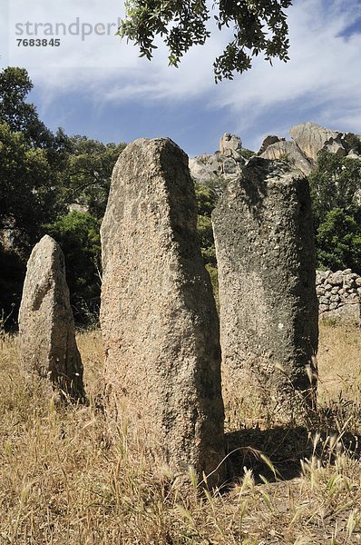 Jungsteinzeit  Neolithikum  Spätsteinzeit  Frankreich  Europa  bündig  bauen  Korsika