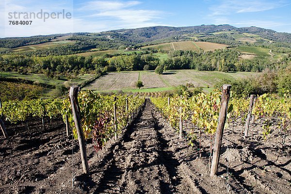 Radda in Chianti Italien Toskana