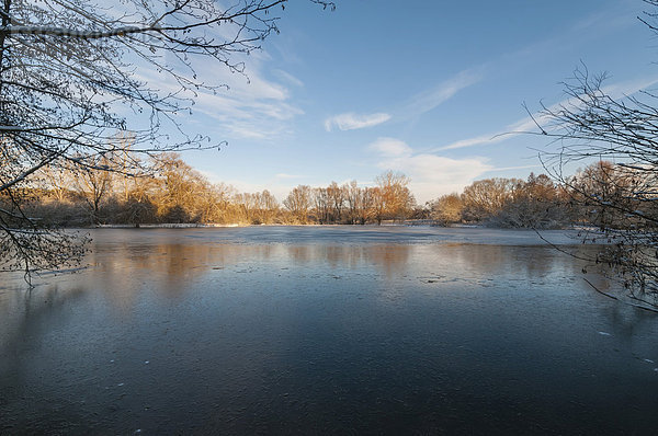 Zugefrorener Mönchbruchweiher  Naturschutzgebiet Mönchbruch