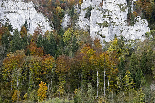 Oberes Donautal bei Gutenstein  Schwäbische Alb  Baden-Württemberg  Deutschland  Europa