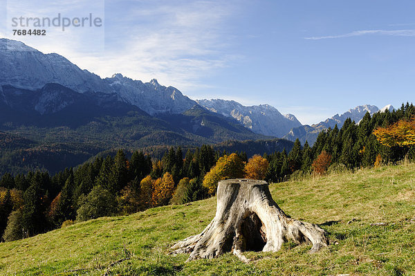 Aussicht auf der Elmauer Alm  bei Mittenwald  Werdenfelser Land  Oberbayern  Bayern  Deutschland  Europa