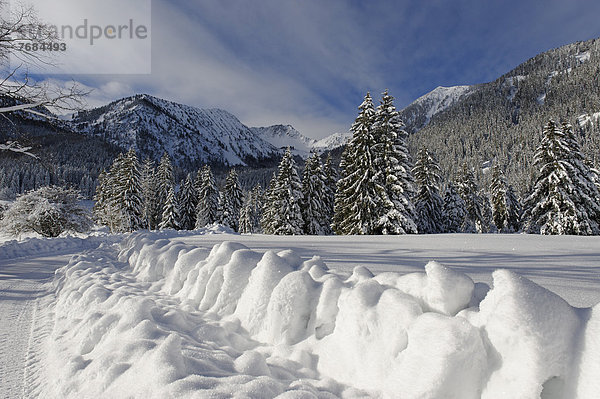 Winter an der Rotwand bei Geitau im Leitzachtal  bei Bayrischzell  Oberbayern  Bayern  Deutschland  Europa