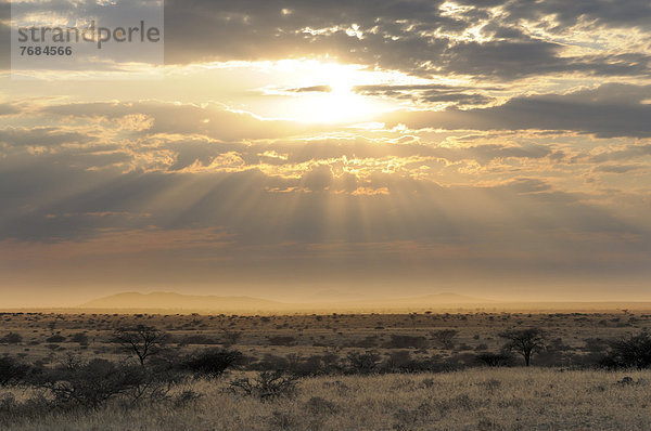 Landschaft nahe Spitzkoppe  Namib-Wüste  Namibia  Afrika