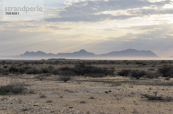 Morgennebel  Landschaft nahe Spitzkoppe  Namib-Wüste  Namibia  Afrika