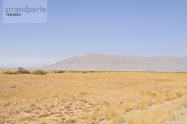 Landschaft nahe Brandberg  Damaraland  Namibia  Afrika