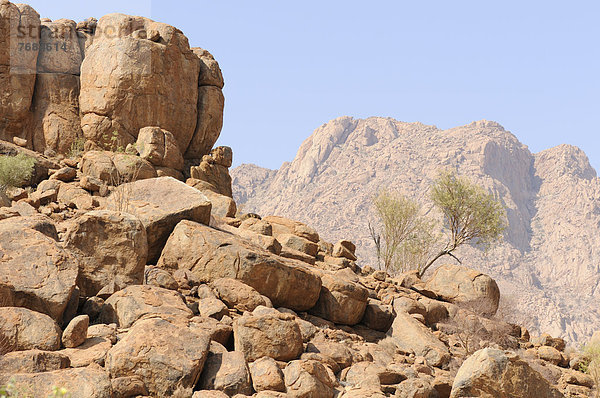 Berglandschaft am Pfad zur Weißen Dame in der Tsisab-Schlucht  Brandberg  Damaraland  Namibia  Afrika