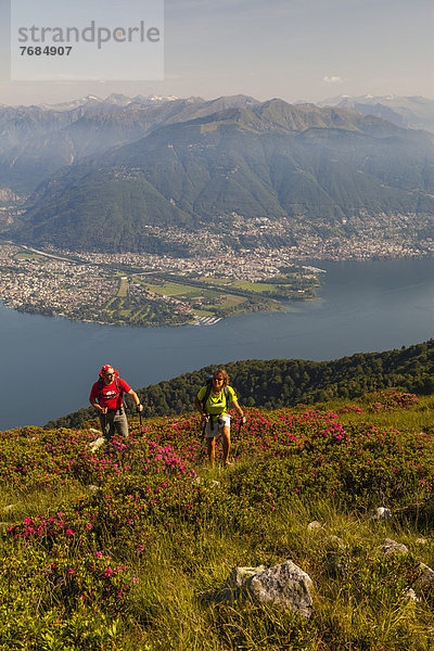 Ein Mann und eine Frau beim Wandern inmitten blühender Alpenrosen am Monte Covreto  Blick über den Lago Maggiore auf das Maggia-Delta  Ascona und Locarno  Tessin  Schweiz  Europa
