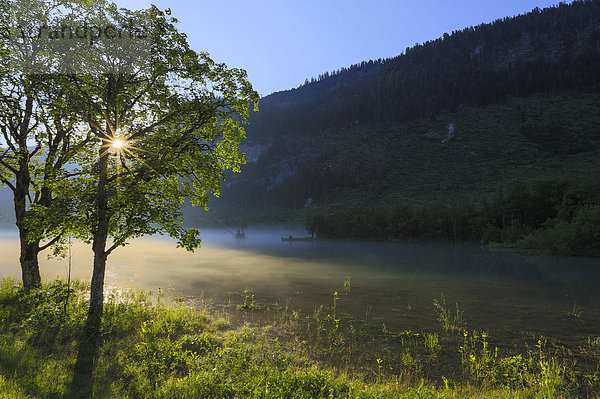 See bei Gosau im Morgennebel mit Sonnenstrahlen  Salzkammergut  Österreich  Europa