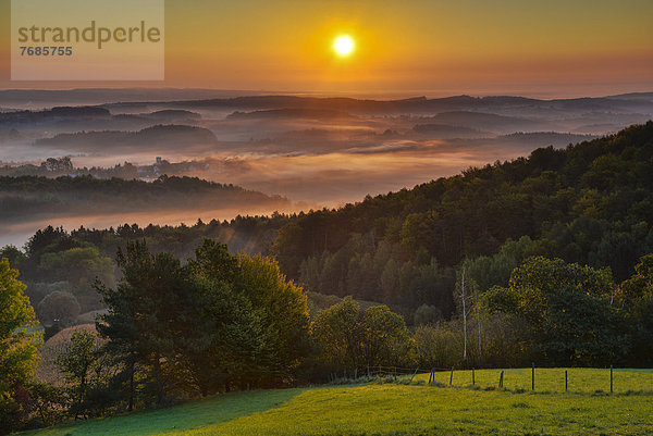 Nebelstimmung bei Sonnenaufgang  Kulm  Oststeirisches Hügelland  Österreich  Europa