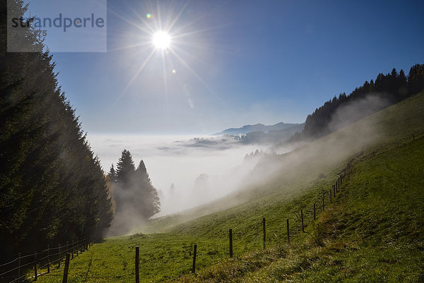 Nebelschwaden mit Sonnenstrahlen  Sommeralm  Almenland  Steiermark  Österreich  Europa