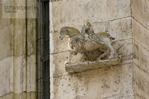 Skulptur eines Reiters  Fassade  Dom Kathedrale St. Peter  Regensburg  Oberpfalz  Bayern  Deutschland  Europa