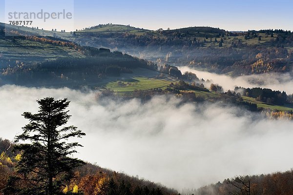 Frankreich  Elsass